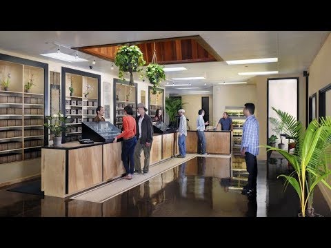 Downtown Los Angeles Cannabis Dispensary