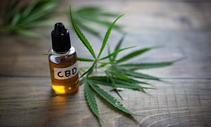 cbd oil contents