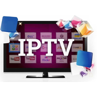  IPTV