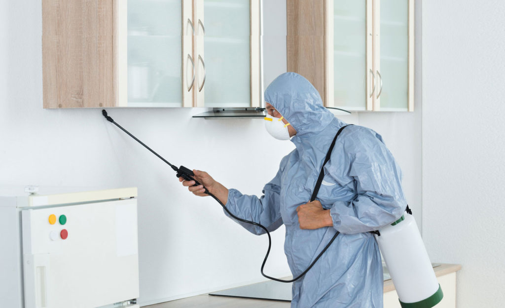 best pest control service