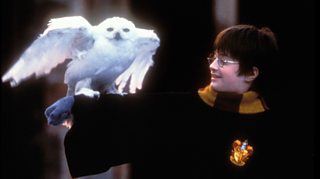 harry potter house quiz