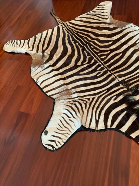 Zebra Skin Rug