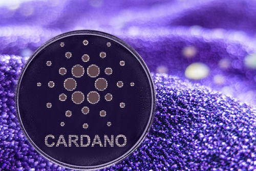 cardano stake pool