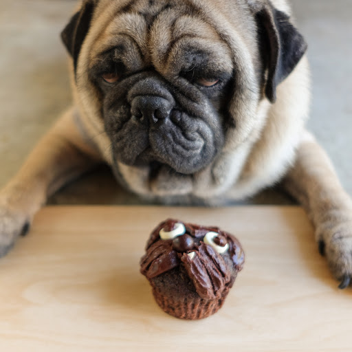 dog ate chocolate cupcake