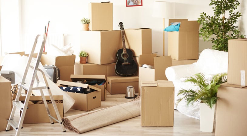 Removalist Services