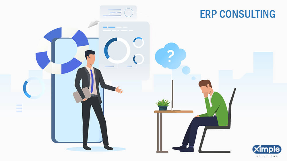 ERP Consultant