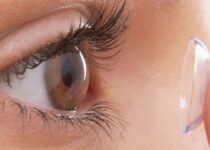 Monthly contact lenses online