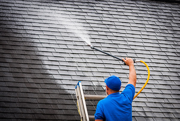 Roof Cleaning Services