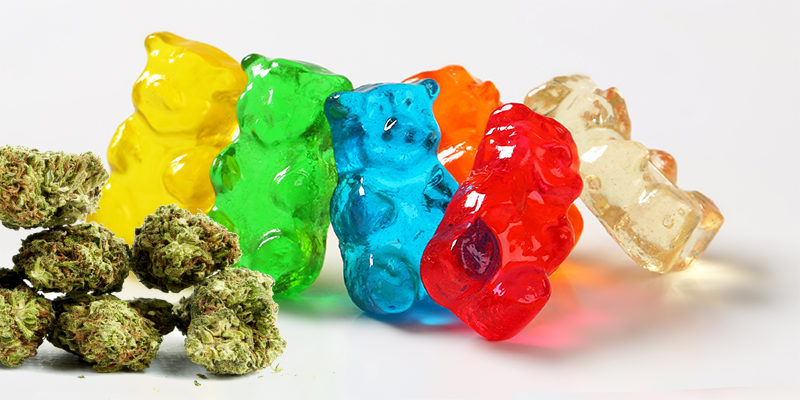 Adult Multivitamin Gummies