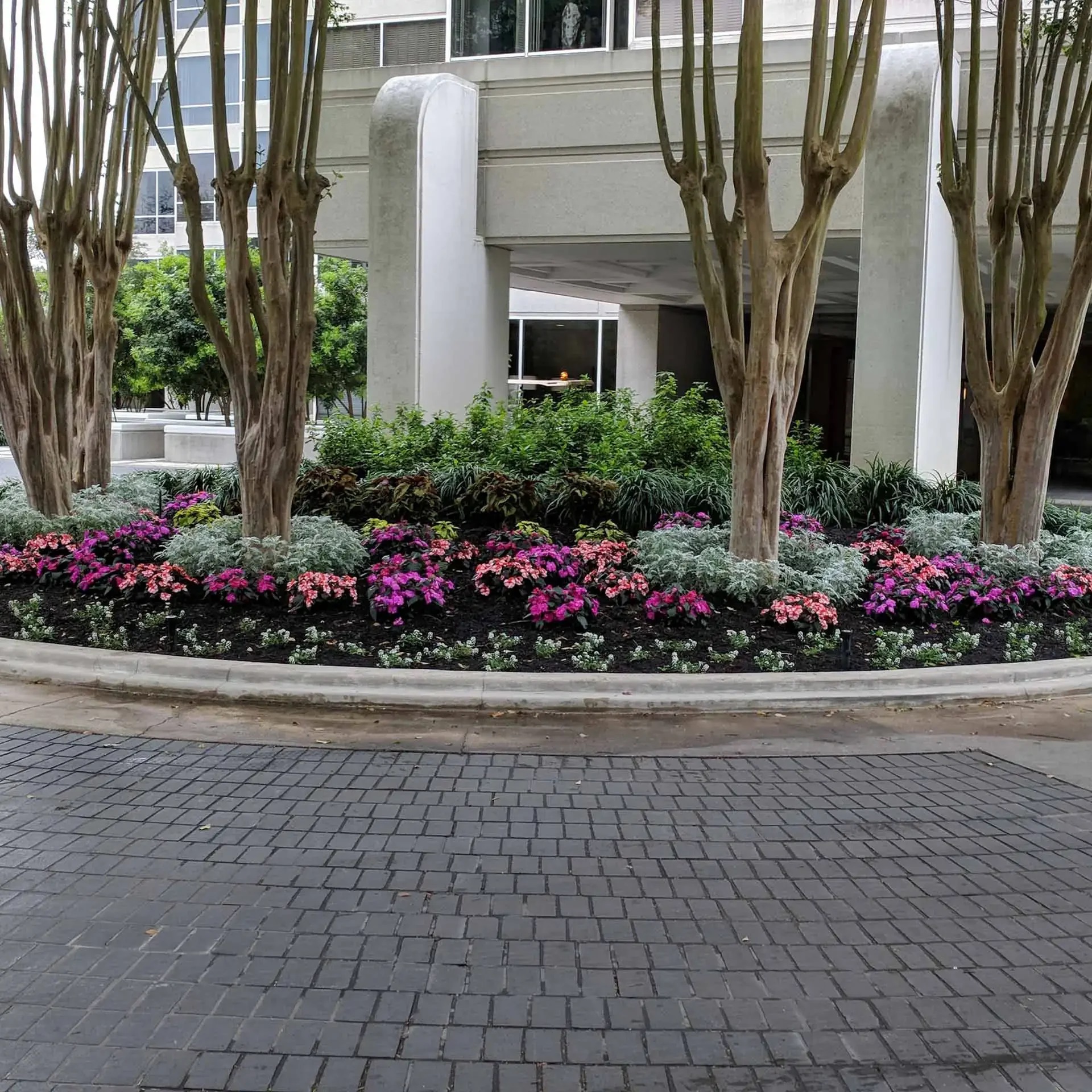 Professional Landscape